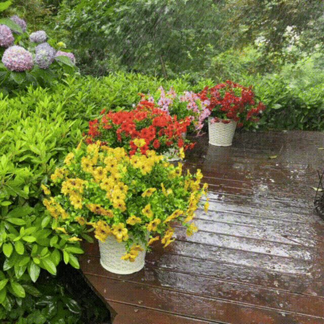 Caniechic� UV-Resistant Outdoor Flowers | Zero Maintenance Color | 50% OFF Today