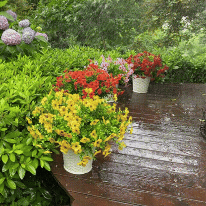Caniechic� UV-Resistant Outdoor Flowers | Zero Maintenance Color | 50% OFF Today