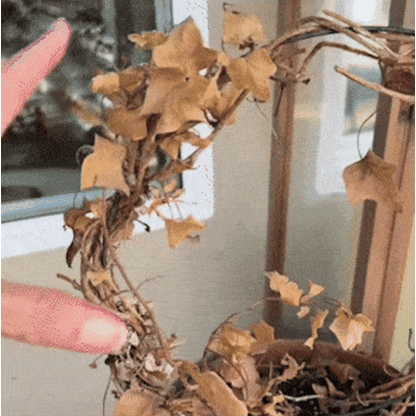 Caniechic� UV-Resistant Outdoor Flowers | Zero Maintenance Color | 50% OFF Today