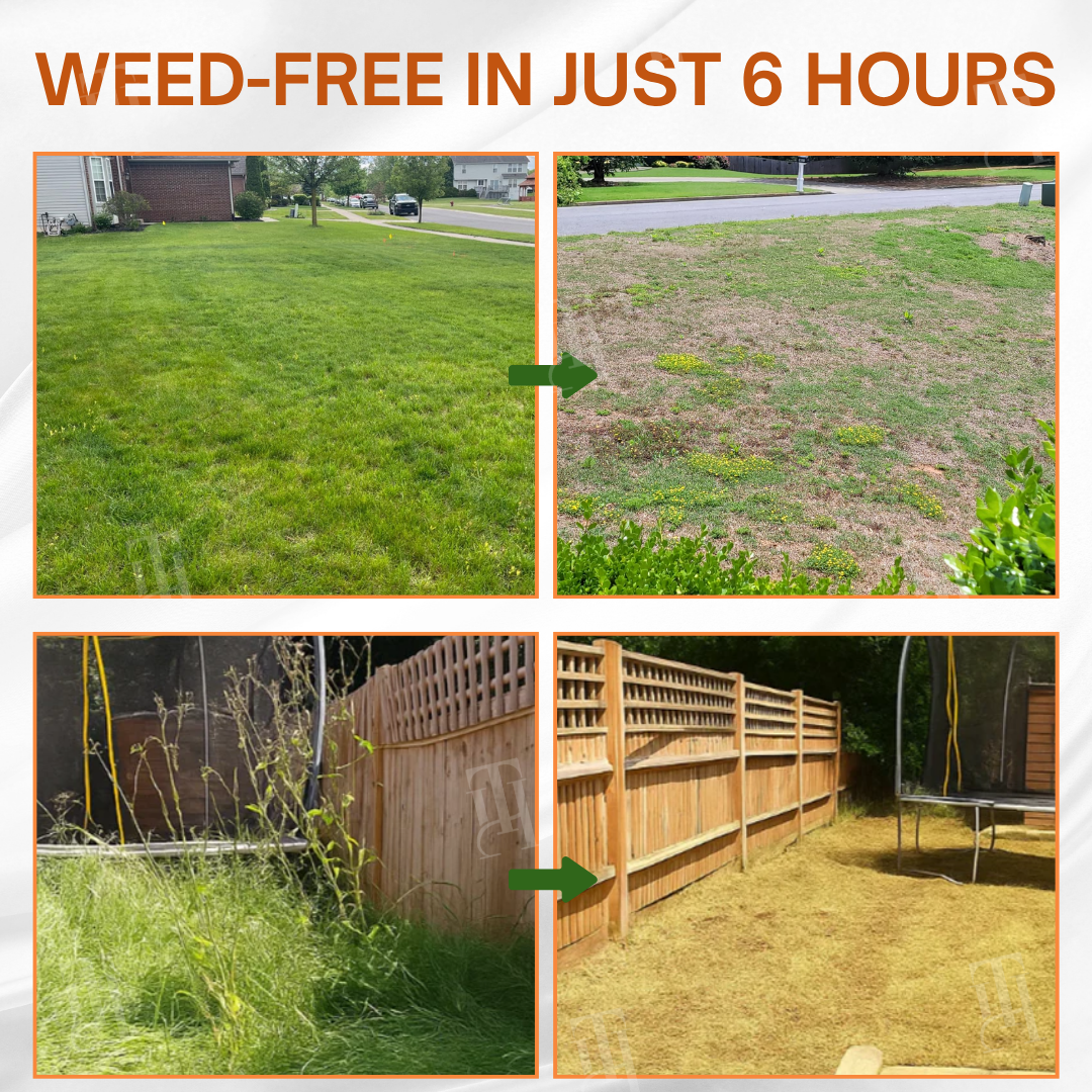 ✨ From Weed Jungle to Perfect Lawn! | ⏱️ Watch Weeds Wither in 6 Hours!  | 𝐀𝐄𝐗𝐙𝐑® 2-in-1 Max Power Herbicide (100% Glyphosate-Free)
