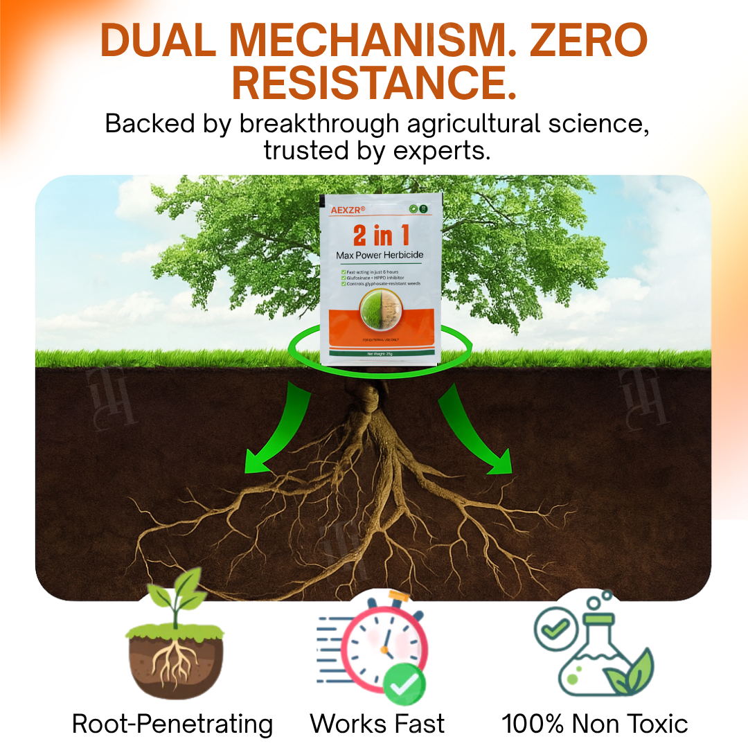 ✨ From Weed Jungle to Perfect Lawn! | ⏱️ Watch Weeds Wither in 6 Hours!  | 𝐀𝐄𝐗𝐙𝐑® 2-in-1 Max Power Herbicide (100% Glyphosate-Free)