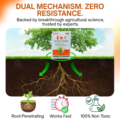✨ From Weed Jungle to Perfect Lawn! | ⏱️ Watch Weeds Wither in 6 Hours!  | 𝐀𝐄𝐗𝐙𝐑® 2-in-1 Max Power Herbicide (100% Glyphosate-Free)